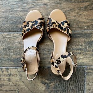Cheetahs Do Prosper! J. Crew Cheetah Sandal